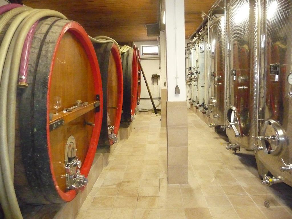 ScherwillerVignobles Frey-Sohlerアパートメント エクステリア 写真