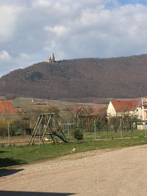 ScherwillerVignobles Frey-Sohlerアパートメント エクステリア 写真